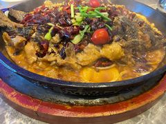 -老板恋上鱼(恒隆广场店)