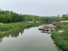 -上海长兴岛郊野公园