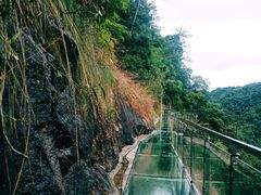 -九龙江国家森林公园