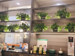 -刘胖子家常菜·蹄花焖藕(中南店)