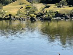 -水前寺成趣园