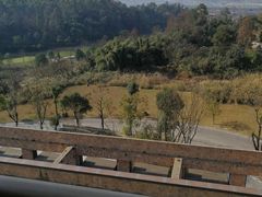 -成都蒲江花样年福朋喜来登度假酒店·宜客乐西餐厅