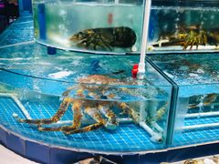 水产区-天津金元宝滨海农产品交易市场(共发大道)