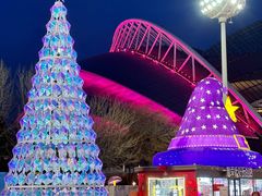-沈阳奥体冰雪嘉年华