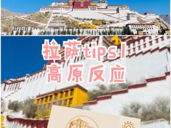 -布达拉宫