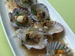 酱汁扇贝-高佳庄·舟山海鲜(海景旗舰店)