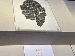 -台州博物馆