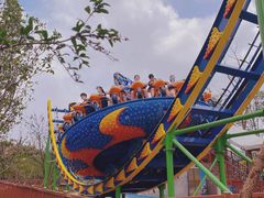 -苏州乐园森林水世界