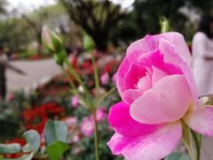 -人民公园(罗湖区)