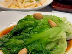 白灼罗马生菜-顺鹅季·非遗烧鹅(六道口店)