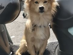 -翠庭园平价蔬果超市(翠庭园店)