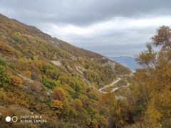 -白草畔自然风景区