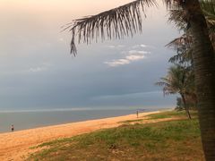 -海口绿发希尔顿酒店-田园汇自助餐·三文鱼·海鲜