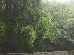 -中国第四纪冰川遗迹陈列馆