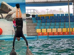 -尼莫海豚馆