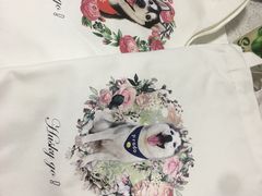 -Husky Go! 哈士奇体验馆·宠物咖啡厅狗咖