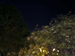 -LAMP BAR 水烟音乐酒吧
