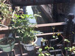 景观位-同得兴 Since·1995 传统苏式面馆(嘉馀坊店)