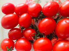 -乐乐鲜果水果超市(河北店)