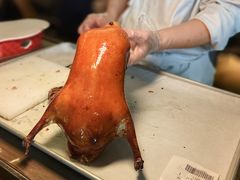 -秀儿四九城·新京菜(亚运村鸟巢店)