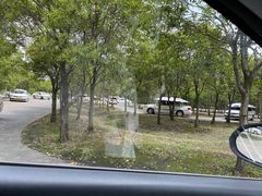 -上海恒通驾驶员培训学校训练场-地面停车场