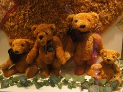 -济州岛泰迪熊博物馆