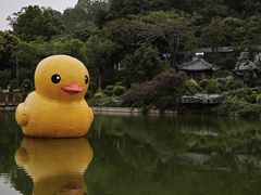 -谷丰健康凤贤居酒家