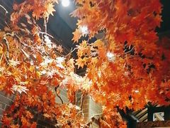 -椒香城门口老火锅(长寿路店)
