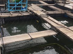 -海上驿站渔家菜馆