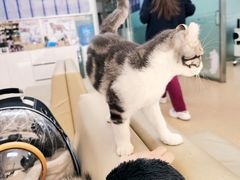 -宠颐生中康贝怡动物医院