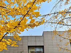 -武汉园博园(武汉自然博物馆)