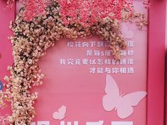 -温州乐园