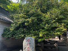 -青岛崂山太清宫