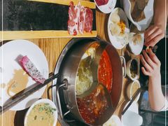 -青瓷火锅料理(西单大悦城店)