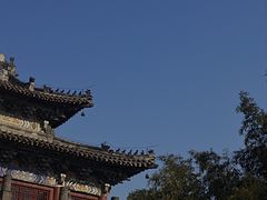 -洛阳白马寺