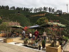 -心无尘茶餐馆(径山村店)