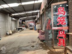 -中环花鸟鱼虫市场