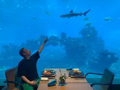 -海棠湾洲际-涛·海底餐厅·美人鱼·自助餐·海底隧道