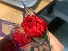 -直隶安家牛肉罩饼(建华店)