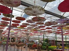 -广东花都香草世界旅游度假区