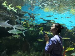 -华夏文旅海洋公园