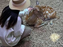 -正佳雨林生态植物园