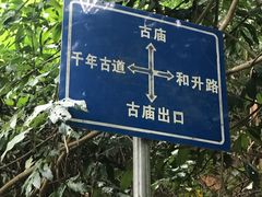 -广州市帽峰山景区