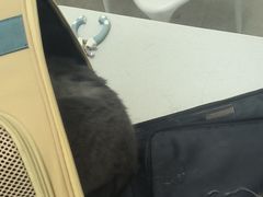 -宠颐生汉谟拉比宠物医院