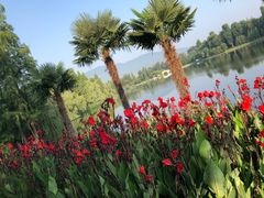 -云南滇池花园国际大酒店温泉