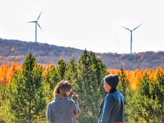 -塞罕坝国家级自然保护区