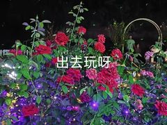 -梅州天地人花园酒店(梅县人民广场店)