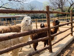 -西安秦岭野生动物园