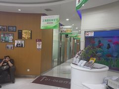 -雅悦齿科(顾村公园店)