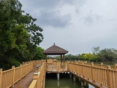 -大湾区中央湿地公园